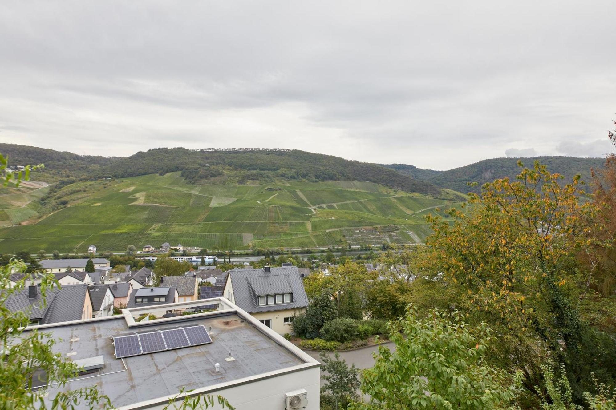 Mosel Panorama Διαμέρισμα Bernkastel-Kues Εξωτερικό φωτογραφία